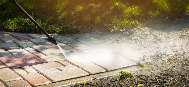 Animal Enclosure Cleaning in Rancho Santa Margarita, CA